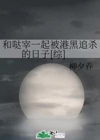 和哒宰一起被港黑追杀的日子[综]