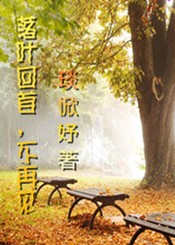 落叶回首，不再见
