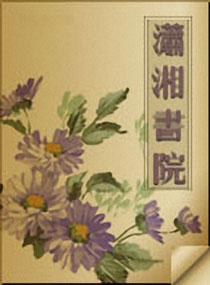 笨丫头遇上天才少爷