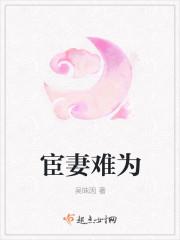 凌风小说主角