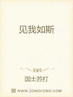 见我如斯