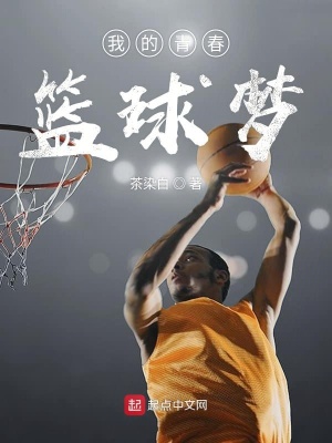 我的青春篮球梦