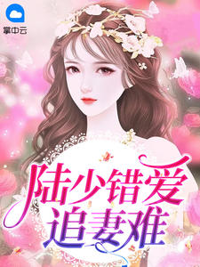 陆少错爱追妻难