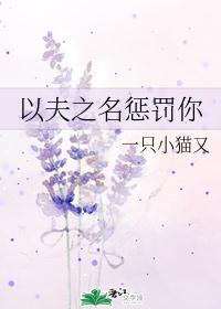 以夫之名惩罚你