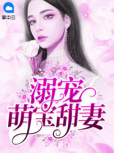 溺宠萌宝甜妻
