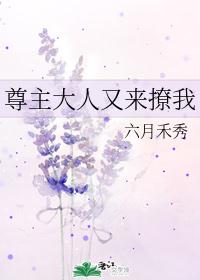 尊主大人又来撩我