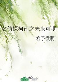 名侦探柯南之未来可期