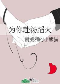 为你赴汤蹈火