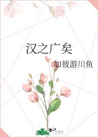 汉之广矣