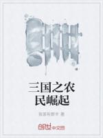 三国之农民崛起